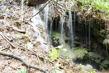 Majano