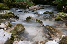 Crespadoro