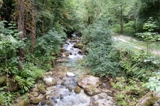 Crespadoro