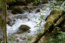 Crespadoro