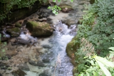 Crespadoro