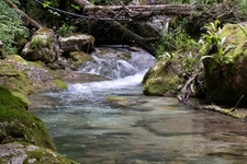 Crespadoro