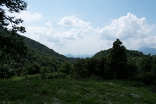 Isola